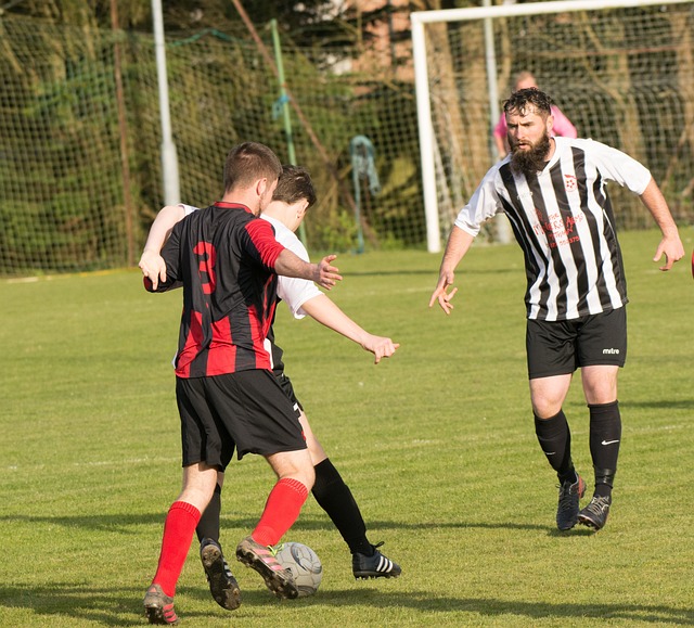 金有限的小 金有限的小