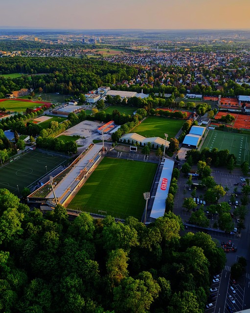 伍的參賽體 伍的參賽體