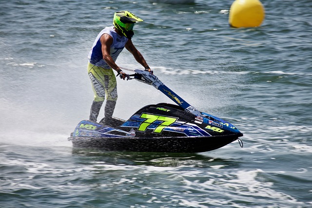 在与尼克斯 在与尼克斯