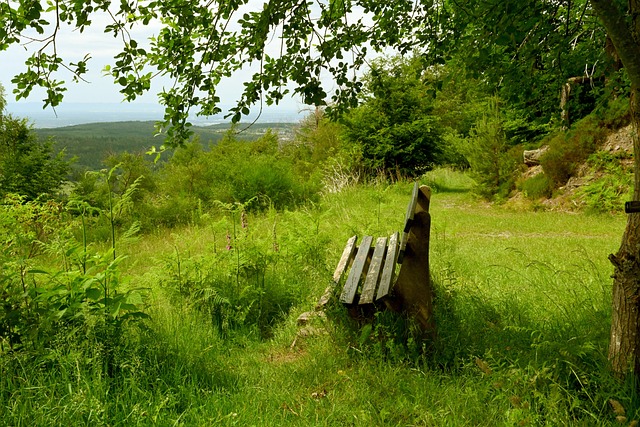 的坚持的 的坚持的