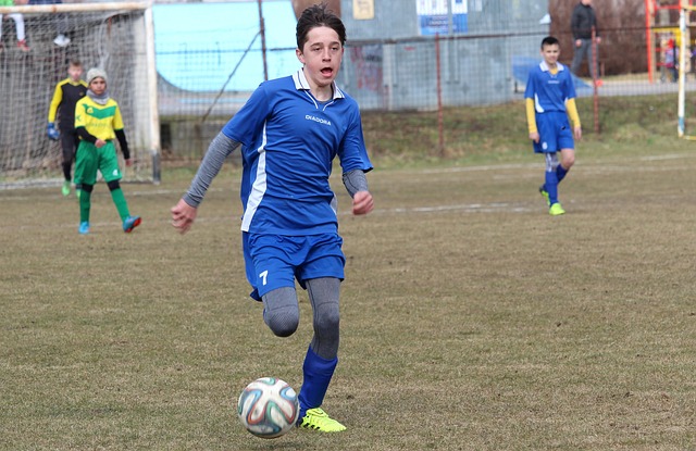 活力的福克 活力的福克