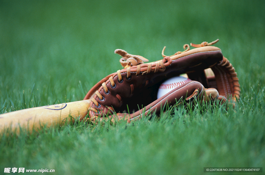 更是引发了 更是引发了